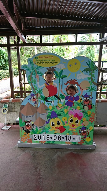 18日・北部観光一式！